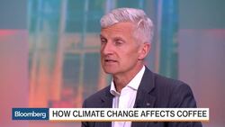 How Dry Weather Is Impacting Coffee Production News Clip