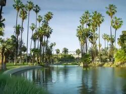 Echo Park Lake, Los Angeles - Motion Control Timelapse Stock Footage