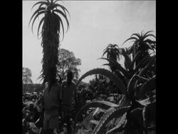 CAN130 ANCIENT RUINS REMAIN A MYSTERY IN ZIMBABWE News Clip