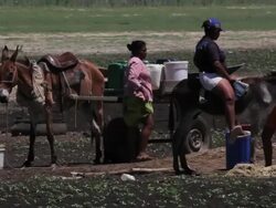 WS View of Families collecting water from shafts / Pilao Arcado, Bahia, Brazil Stock Footage