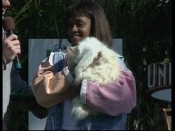 ENTERTAINMENT DAILY: ENT5- CELEBRITY DOGS Instructional Video