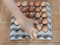 Get egg Stock Footage