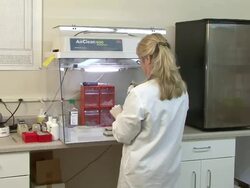Medium hand-held static - A technician works in a laboratory. / USA Stock Footage