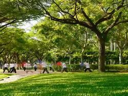 Morning exercise at the park Stock Footage