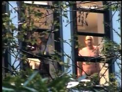 DV Frank Tree News Clip