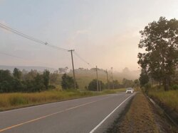 Summer field and car on road countryside Stock Footage
