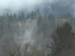 Washington mudslide aftermath operation News Clip