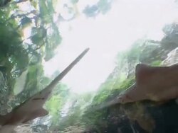 MS Shot of shark tank in aquarium / Dallas, Texas, United States Stock Footage