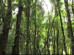 Nations debate ozone, global warming rules News Clip