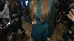 Animal-print brights light up the DKNY runway at New York Fashion Week Instructional Video