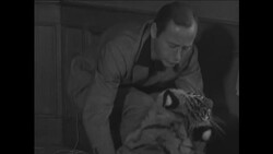 CAN754 ITALIAN LAWYER KEEPS TIGER, PUMA, CHIMPANZEE, BEAR AND OTHER CREATURES AT HOM Instructional Video