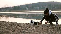 Cute girl playing with the dog on a lake coast Stock Footage