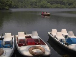 Block Shot Boats Pookot Lake Kerala India Stock Footage