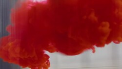 Brush dipping in water Stock Footage