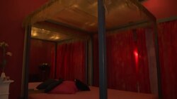 Sex workers face ruin amid virus fears, brothel closures News Clip