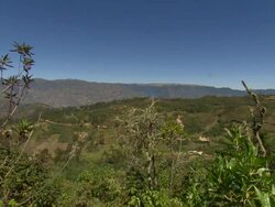 "Green mountain range in blue sunshine, trees and foliage in f/g, farmland and farm house visible on hill below, Amazonas region of Peru [PerÃƒÂº]" Stock Footage