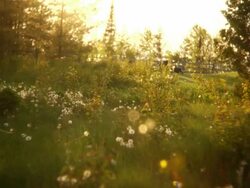 HD: Summer Stock Footage