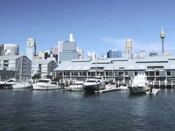 Yacht Harbour at Pyrmont Bay, Sydney, New South Wales, Australia Stock Footage