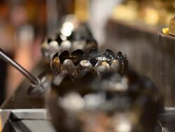 close up : add oil and ignite the light Stock Footage