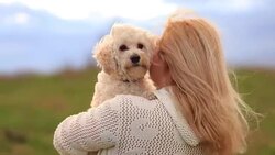 Blond Girl and her best friend, white dog Stock Footage