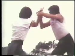 Kung Fu parallel bar exercises Stock Footage