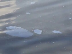 Polluted water. Stock Footage