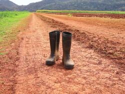 The boot Stock Footage