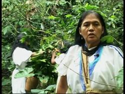 Indigenous Arhuaco coffee gets international acclaim News Clip