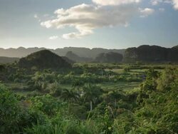 Valle de Vinales, Cuba Stock Footage