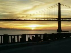 Female Runner on the Embarcadero Stock Footage