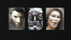 Chris Bangle: Great cars are great art Instructional Video