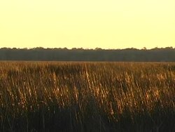 evening sun Stock Footage