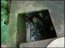 Shanty towns provide breeding ground for Dengue Fever mosquito News Clip