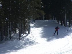 HD: Skiing In The Nature Stock Footage