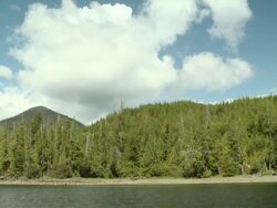 WS POV View of Temperate rain forest shoreline in Clayoquot Sound / Tofino, British Columbia, Canada Stock Footage