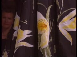 France - Dior, Scherrer &amp; Valentino Shows News Clip