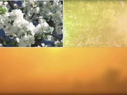 HD MONTAGE: Four Seasons Stock Footage