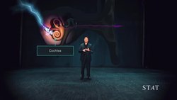 This is how music gets into your brain Instructional Video