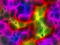 Bacteria cells close up Stock Footage