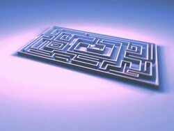 Labyrinth Stock Footage