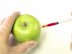 Apples - Genetic Modification Stock Footage