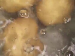Eggs cooking in pot Stock Footage