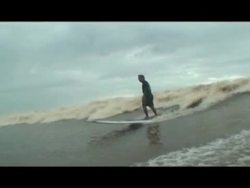 VOICED: Surfing in the jungle News Clip