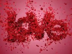 Falling in Love with beautiful red background (Concept) Stock Footage