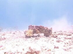 Broken pottery lies among other artifacts on a sandy seabed. Stock Footage