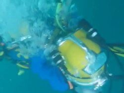 Diving Stock Footage