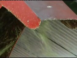 Biodegradable styrofoam produced from flower waste News Clip