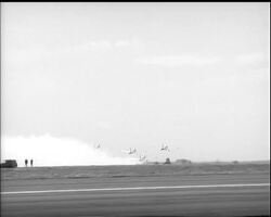 FLIGHT OF THE PELICANS News Clip