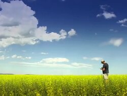 HD DOLLY: Farmer in Canola Field Stock Footage