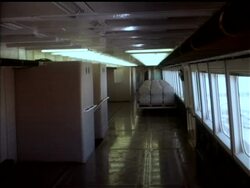 GIANT HOVERCRAFT News Clip